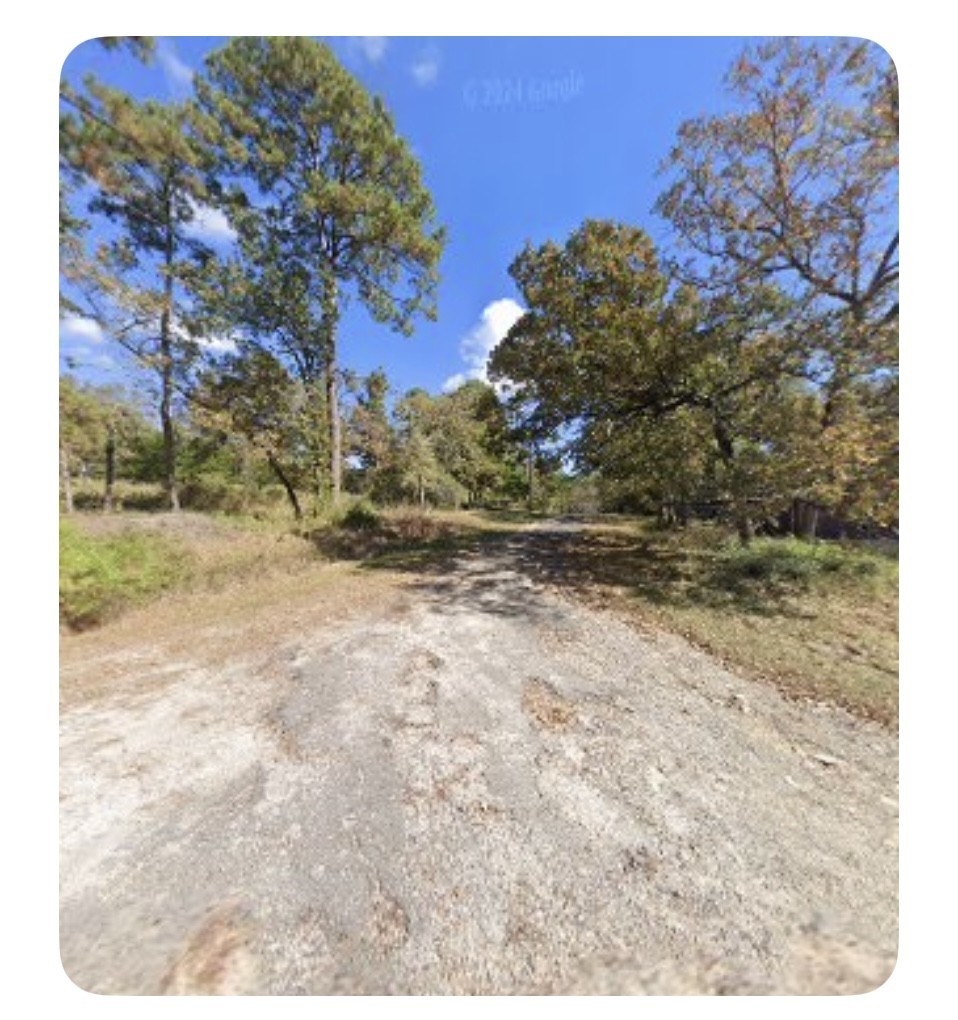 201 Chinquapin Road Trinity, TX 75862 - Photo 5 of 8 a view of outdoor space and yard