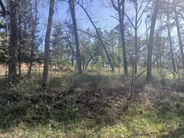 $42,000 | 201 Chinquapin Road, Trinity, TX 75862