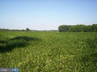 0 Burrs Mill Road Pemberton, NJ 08068 - Photo 3 of 6