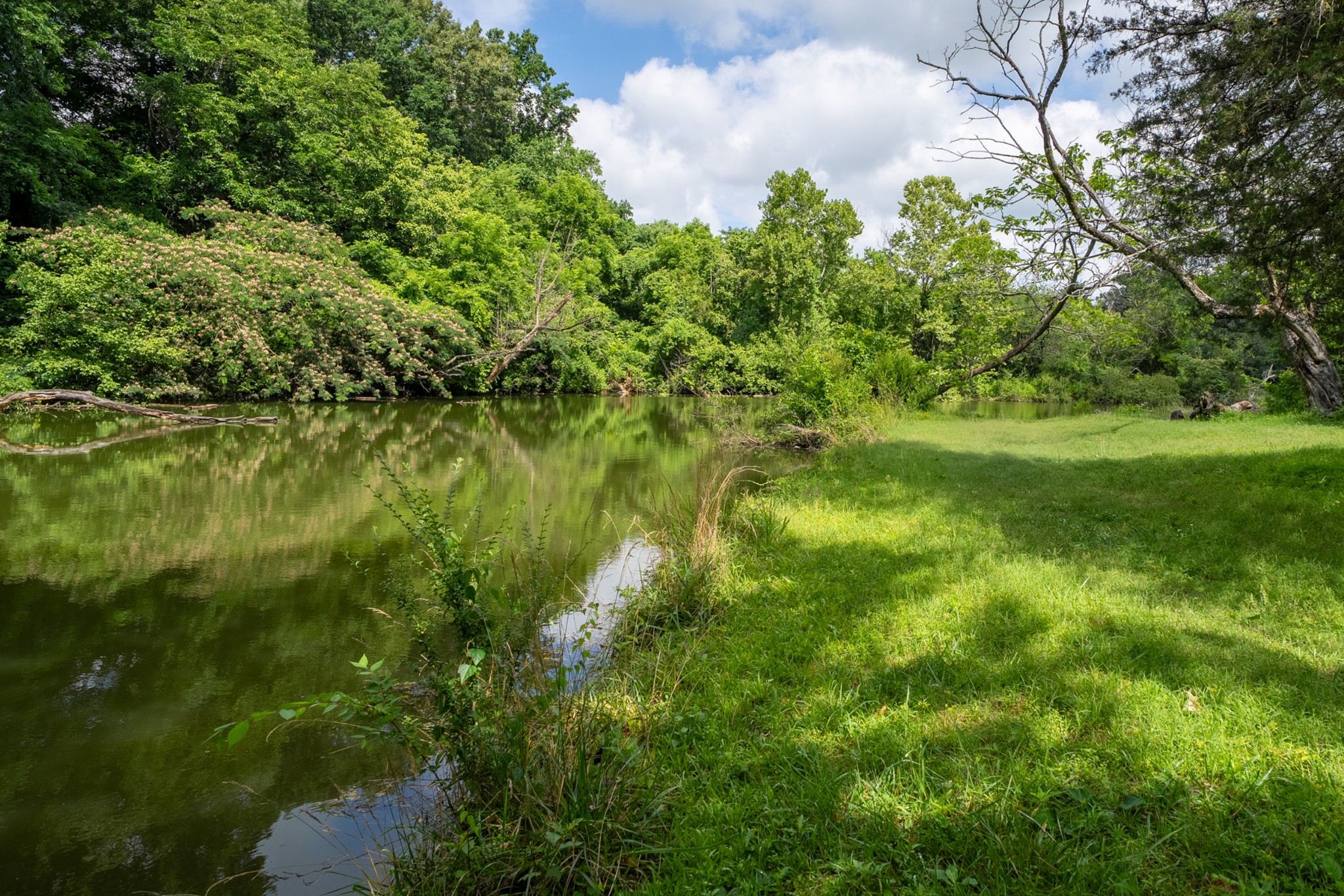 270 Wood Bluff Road Winchester, TN 37398 - Photo 12 of 69