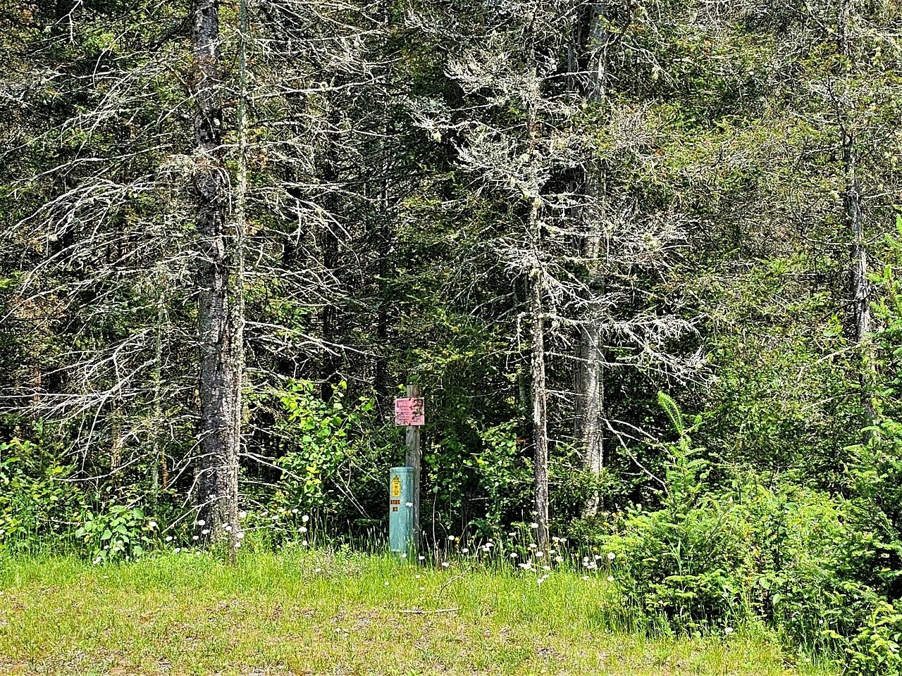 Lot E Lot E Homers Road Mercer, WI 54547 - Photo 2 of 8 Gallery Image 2