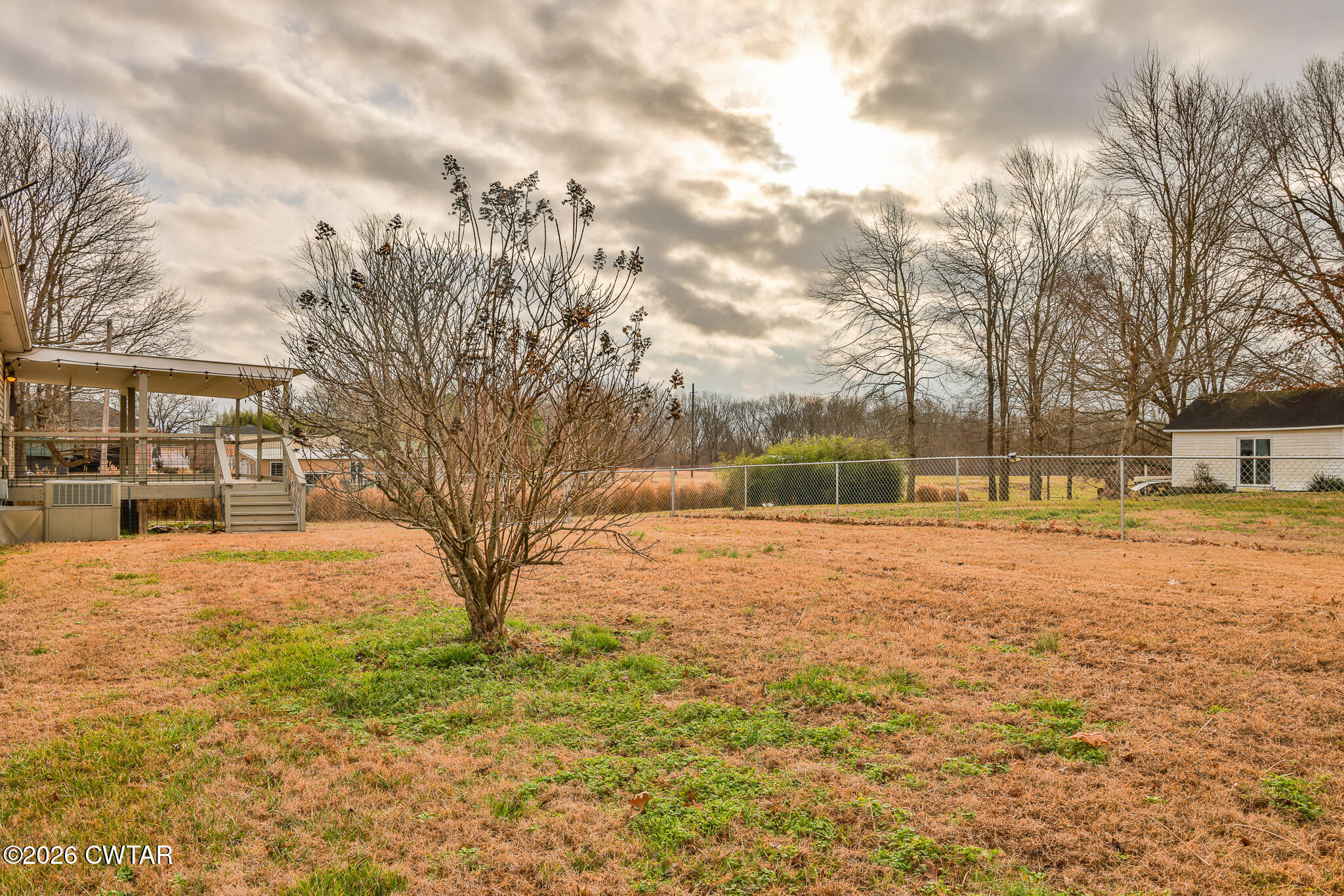 2479 Billingsby Road Martin, TN 38237 - Photo 24 of 29 a view of yard with large trees