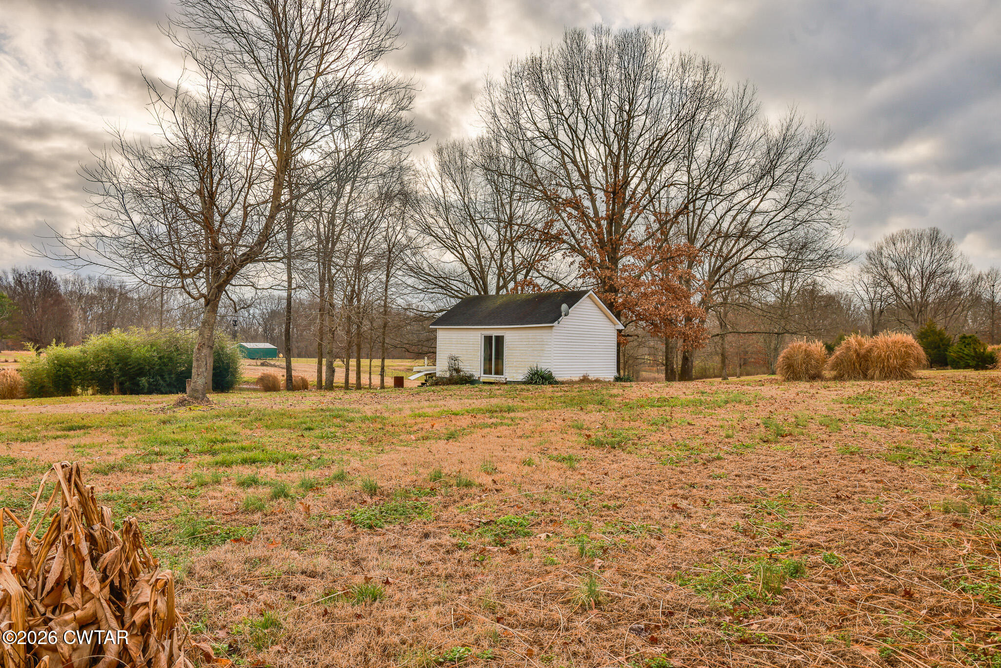 2479 Billingsby Road Martin, TN 38237 - Photo 25 of 29 a house that has a tree in front of it