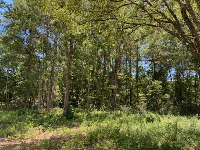 7214 Raw Dew Drive, Unit LOT F Awendaw, SC 29429 - Photo 2 of 4 IMG_5239