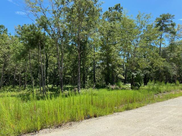7214 Raw Dew Drive, Unit LOT F Awendaw, SC 29429 - Photo 3 of 4 IMG_5229