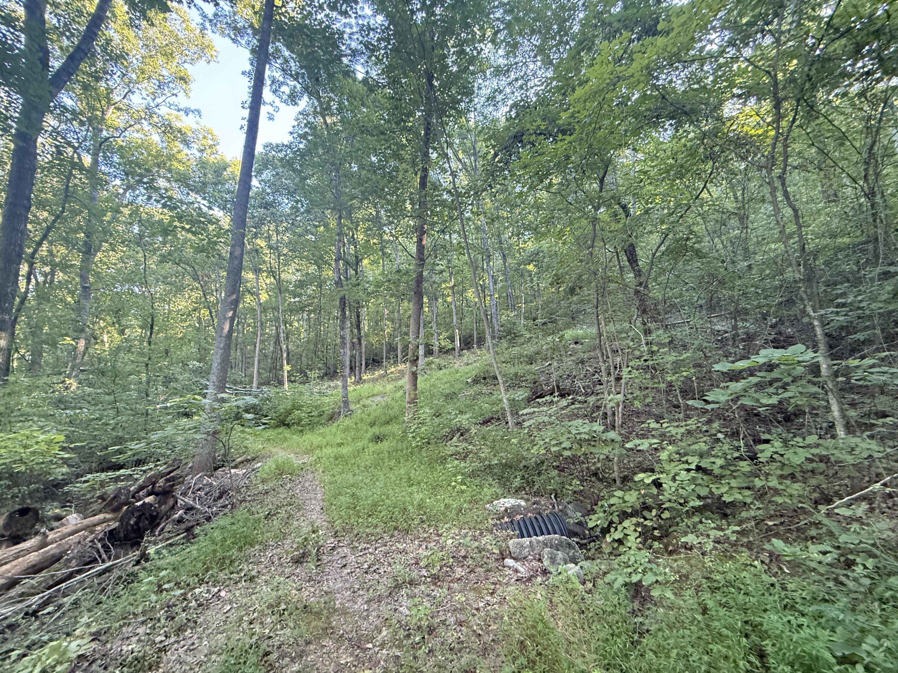 9675 Switchback Trail Ooltewah, TN 37363 - Photo 2 of 4 IMG_4371