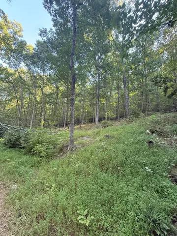 $95,000 | 9675 Switchback Trail, Ooltewah, TN 37363