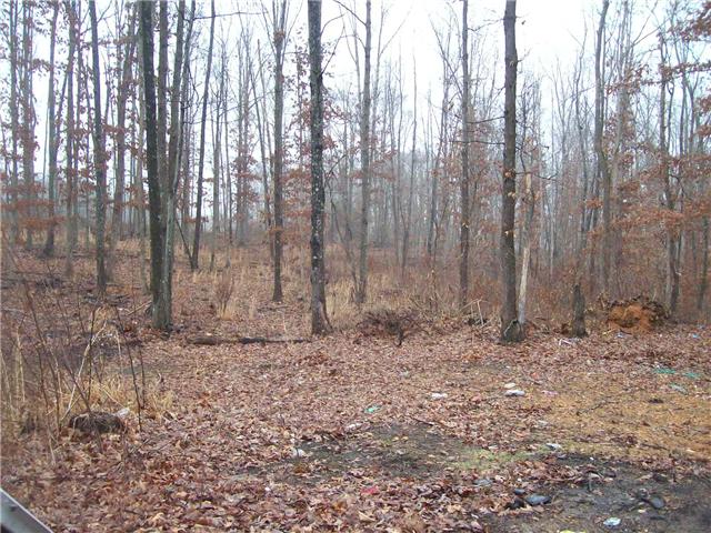 0 Patton Park Road Lyles, TN 37098 - Photo 1 of 9 a view of a backyard with trees