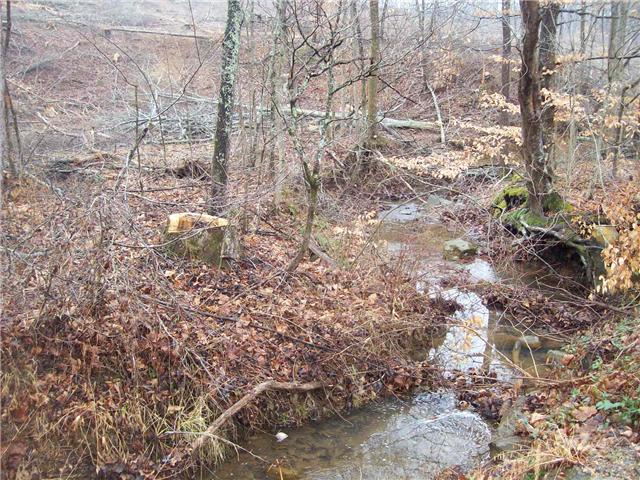 0 Patton Park Road Lyles, TN 37098 - Photo 2 of 9 a view of a yard with a tree
