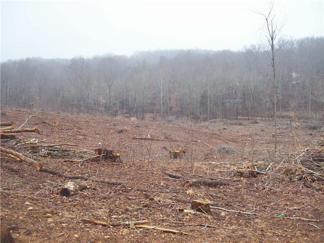 0 Patton Park Road Lyles, TN 37098 - Photo 3 of 9 a view of a dry yard