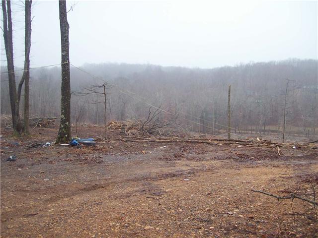 0 Patton Park Road Lyles, TN 37098 - Photo 4 of 9 a view of a dry yard with trees