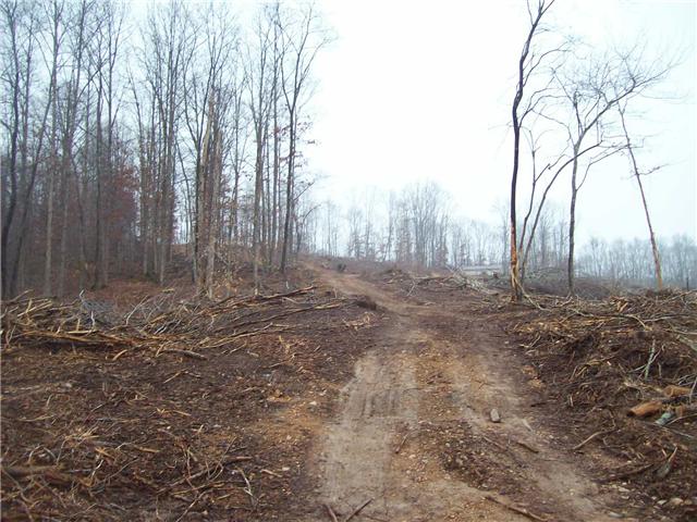 0 Patton Park Road Lyles, TN 37098 - Photo 6 of 9 a view of backyard with green space