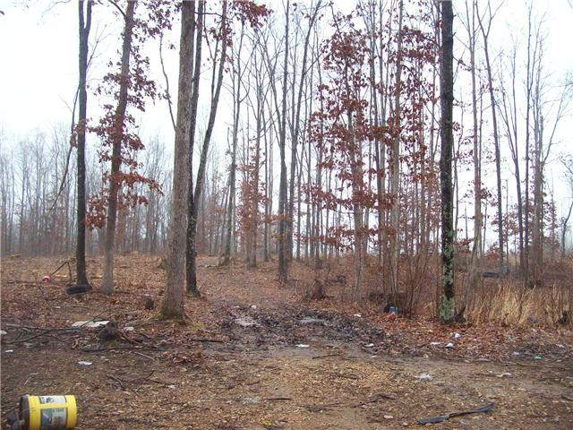 0 Patton Park Road Lyles, TN 37098 - Photo 7 of 9 a backyard of a house with lots of trees
