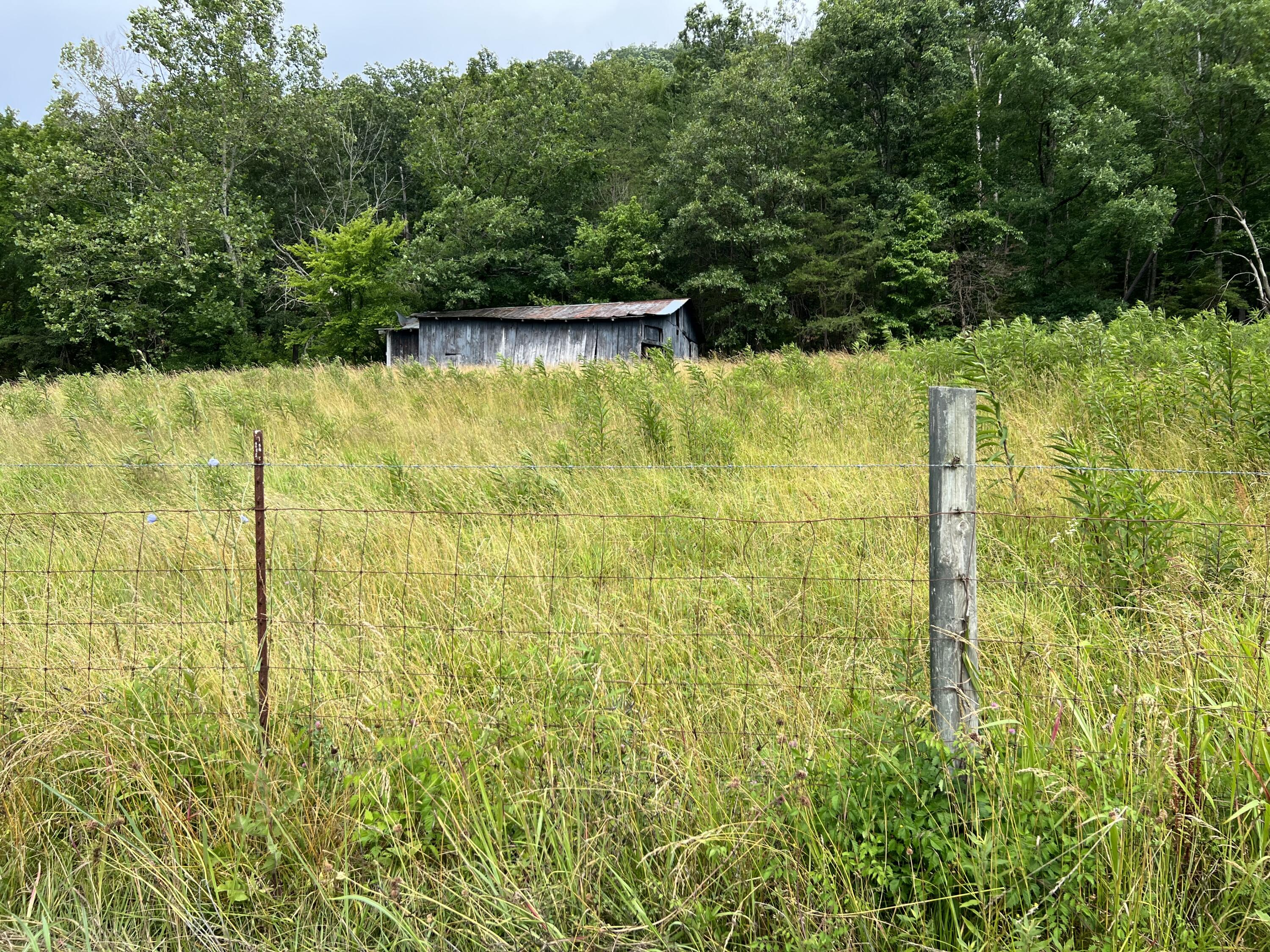 1063 Red Lick Road Berea, KY 40403 - Photo 10 of 53 IMG_1608
