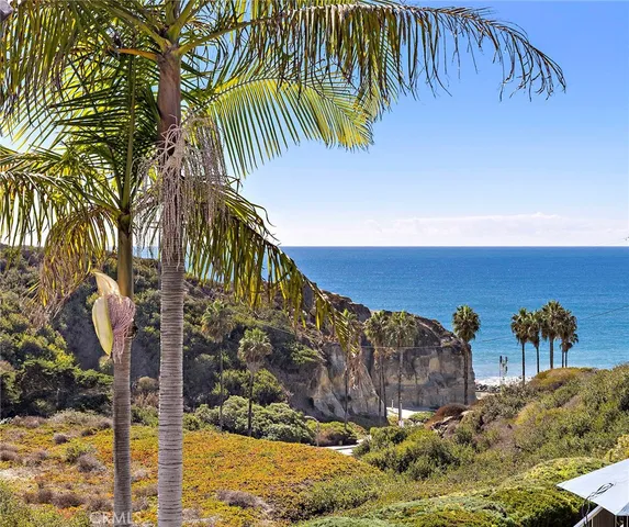 a view of a backyard of the house