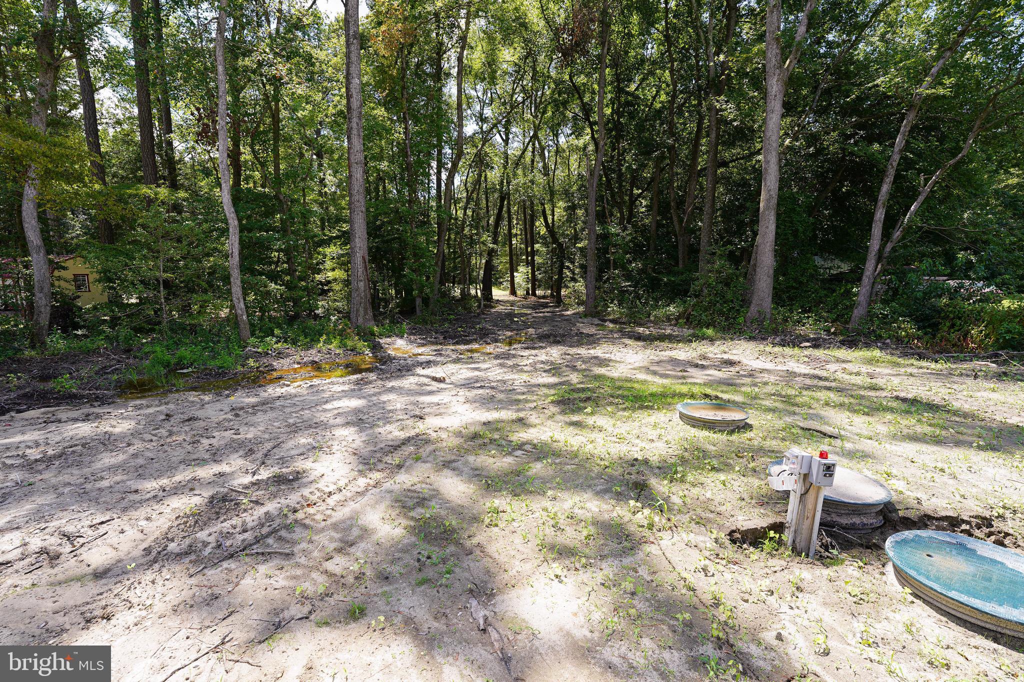 30995 Eden Allen Road Eden, MD 21822 - Photo 3 of 36