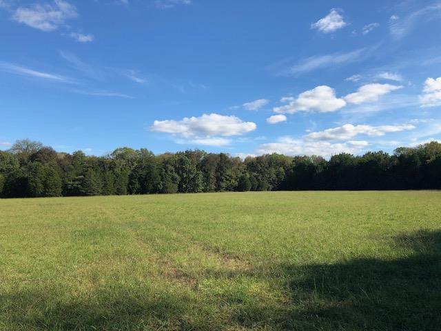 0 Hopper Cemetery Road Lewisburg, TN 37091 - Photo 1 of 6 Gallery Image 1