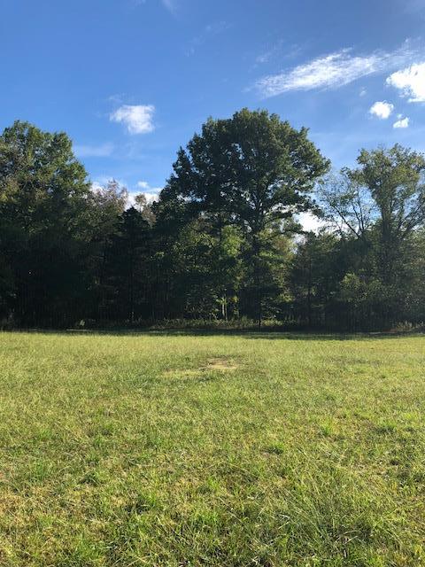 0 Hopper Cemetery Road Lewisburg, TN 37091 - Photo 2 of 6 Gallery Image 2