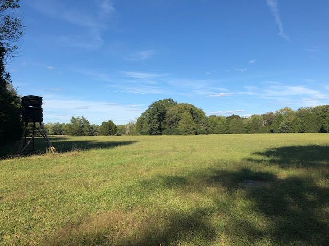 0 Hopper Cemetery Road Lewisburg, TN 37091 - Photo 4 of 6 Gallery Image 4