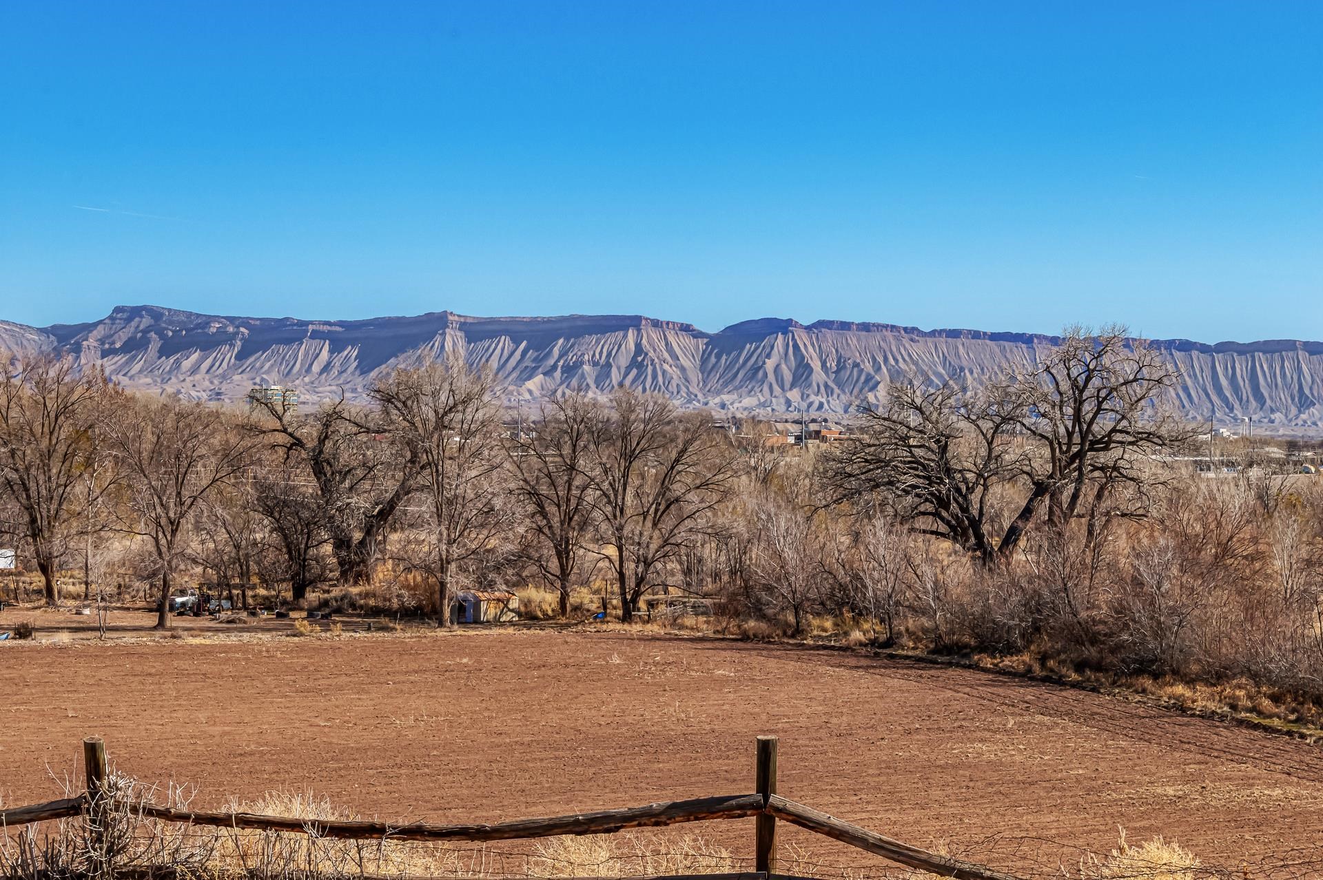324 Rosevale Road Grand Junction, CO 81507 - Photo 19 of 42 Gallery Image 19