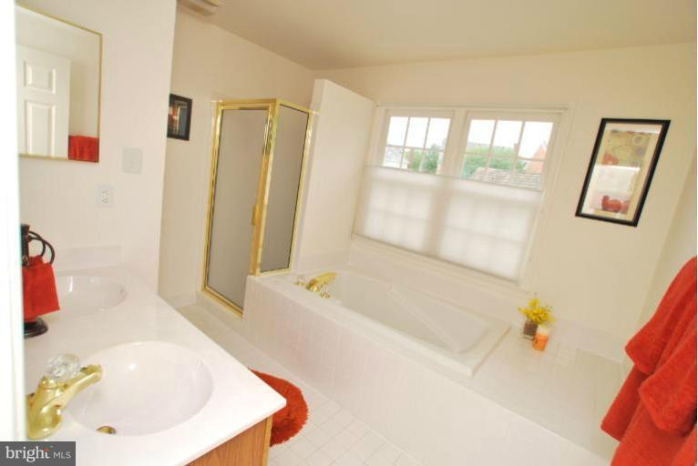 470 Tschiffely Square Road Gaithersburg, MD 20878 - Photo 4 of 26 Bath (Master)