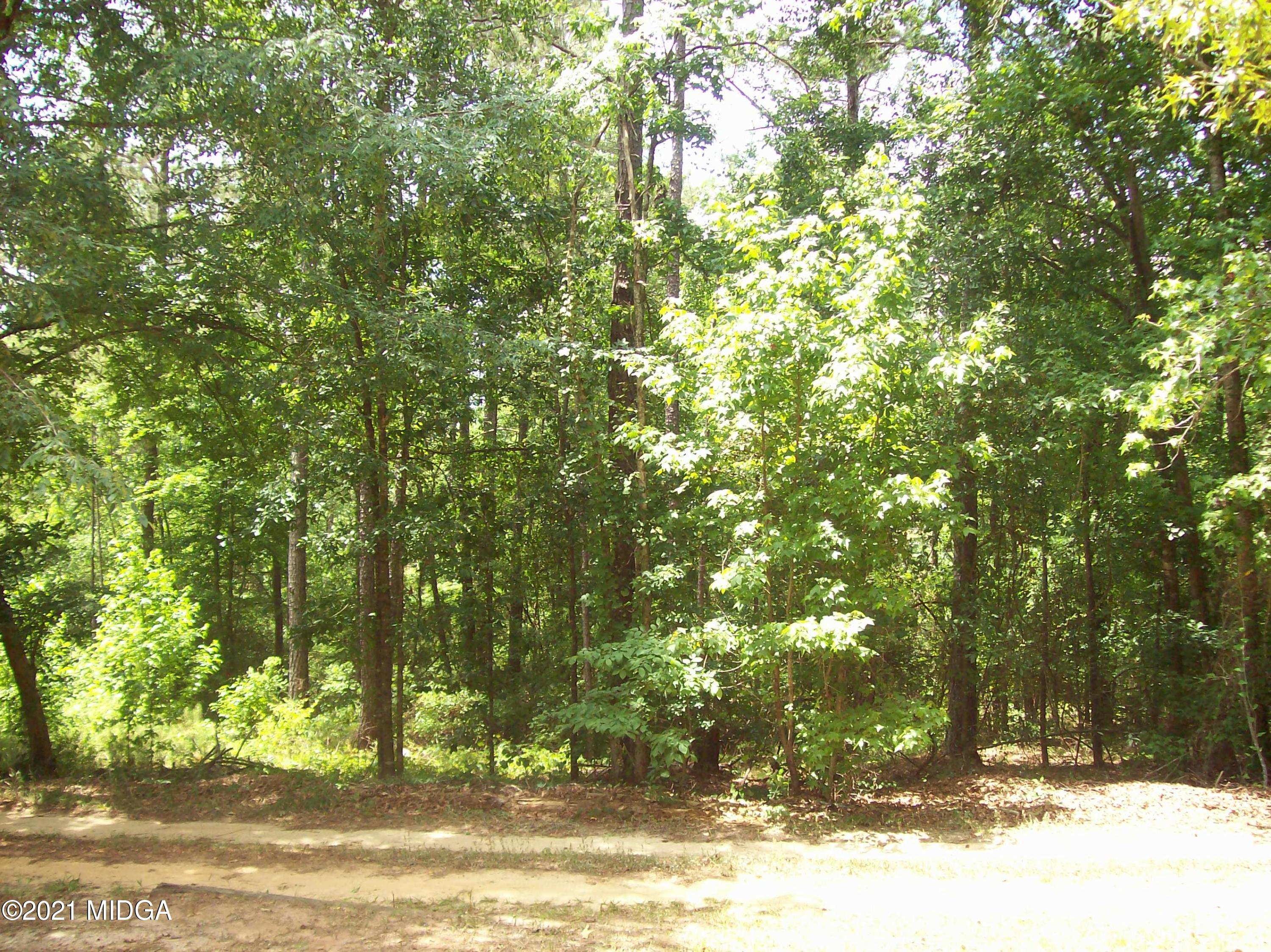 6197-6185 Marion Road Macon, GA 31217 - Photo 48 of 50 102_0077