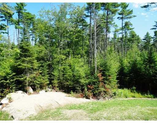 Lot 5 Rivers Edge Gray, ME 04039 - Photo 10 of 10 Yard/Garden.