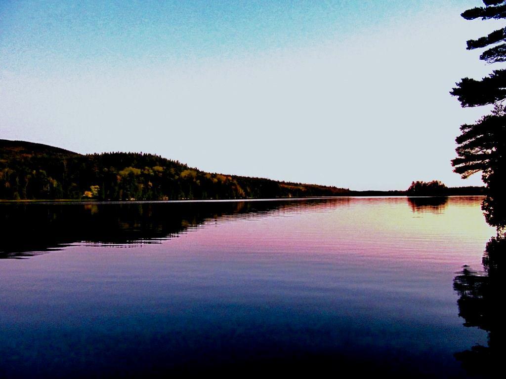 21 Pond Road Seal Cove, ME 04674 - Photo 19 of 19 Photo