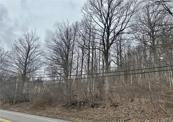 $19,900 | 0 Warners Road, Warners, NY 13164