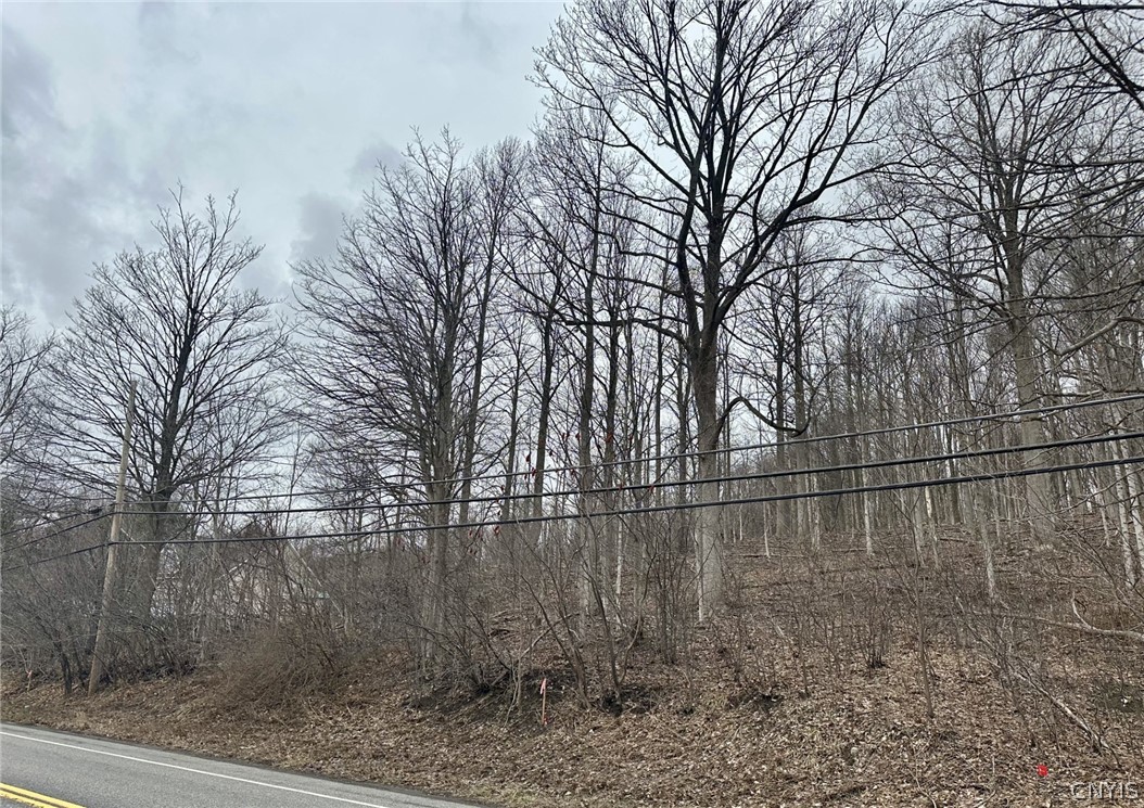 0 Warners Road Warners, NY 13164 - Photo 2 of 5