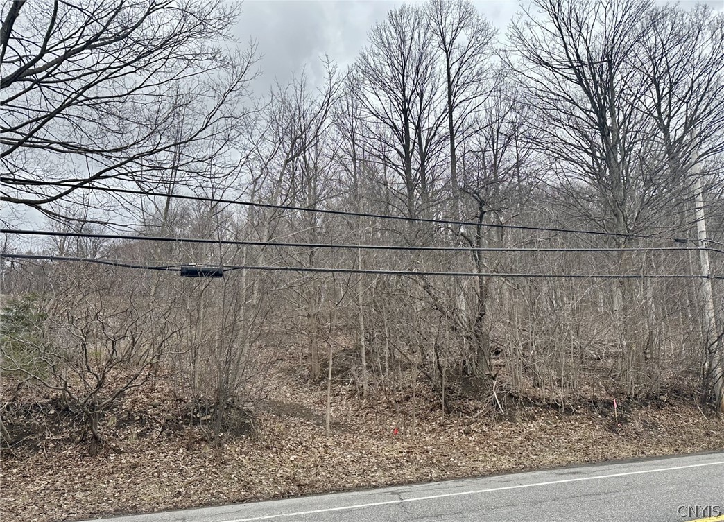 0 Warners Road Warners, NY 13164 - Photo 3 of 5