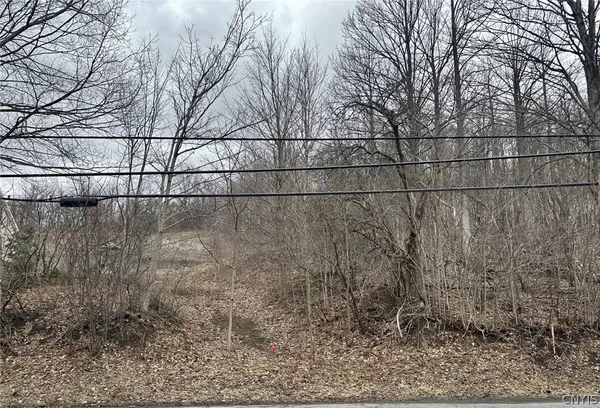 $19,900 | 0 Warners Road, Warners, NY 13164