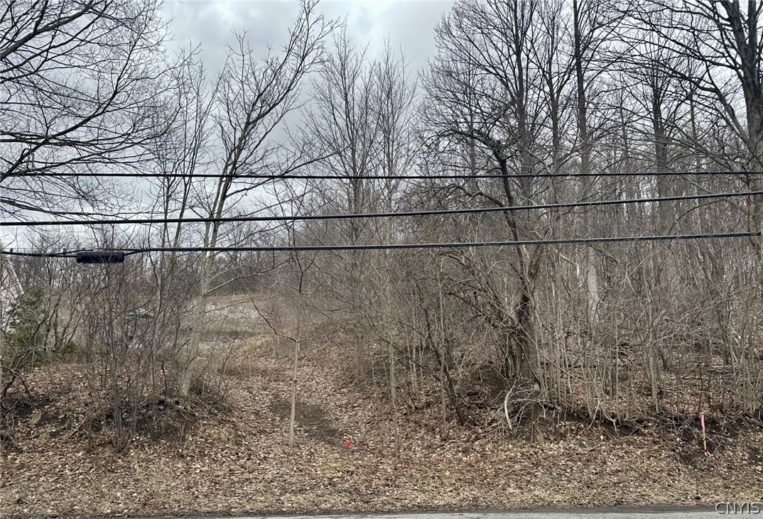 0 Warners Road Warners, NY 13164 - Photo 4 of 5