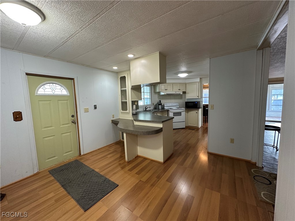 7 Elder Alva, FL 33920 - Photo 3 of 47 a view of kitchen with sink and refrigerator