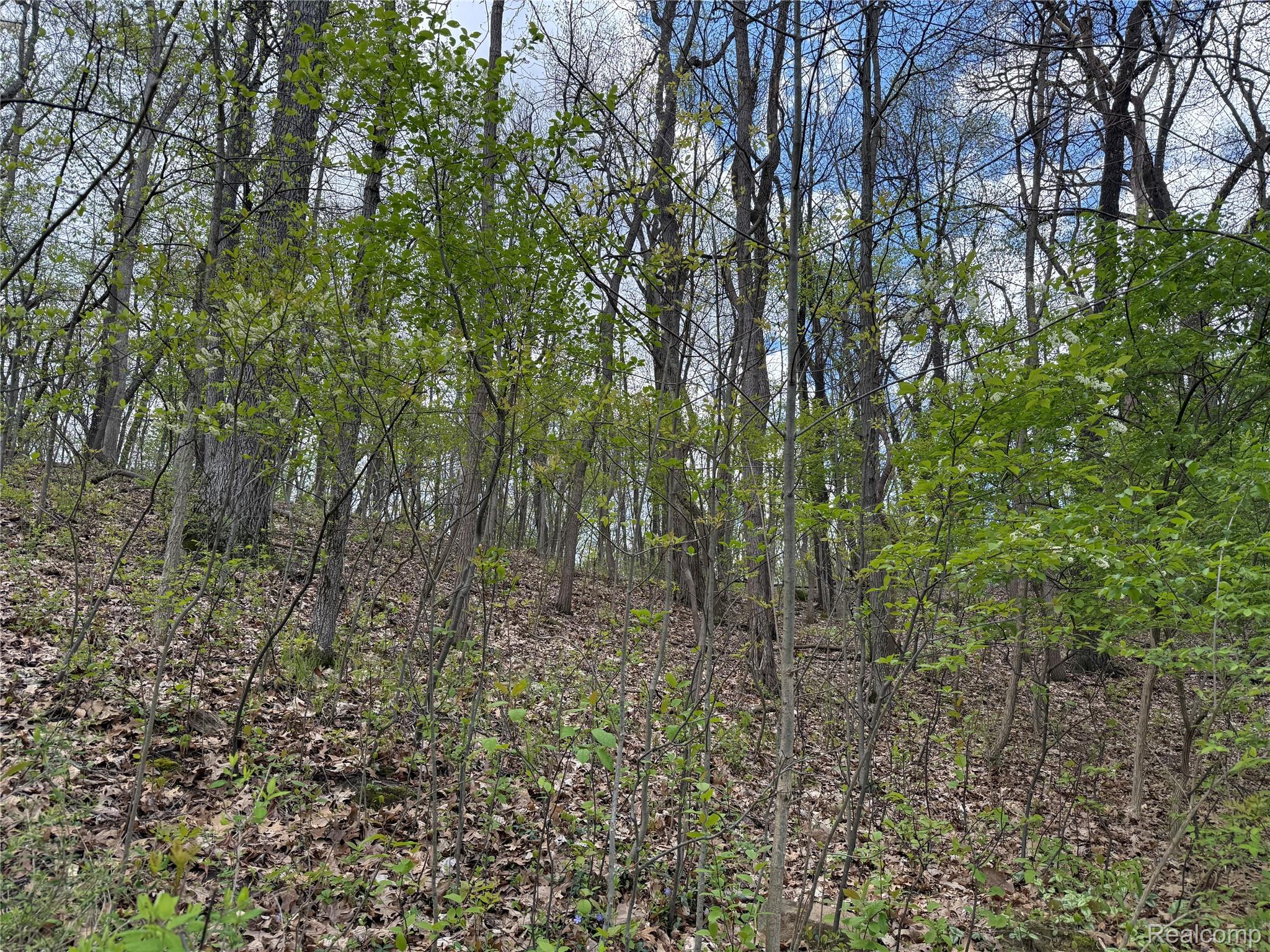 Lot 25 Hidden Ridge Trail Fenton, MI 48430 - Photo 3 of 7 At Street