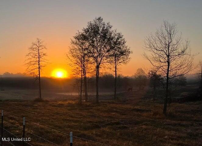 500 Epley Road Sumrall, MS 39482 - Photo 79 of 84 20251204181025261185000000-o