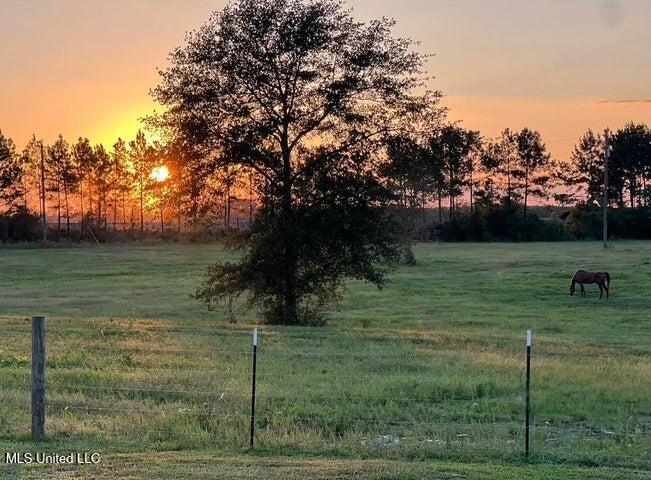 500 Epley Road Sumrall, MS 39482 - Photo 84 of 84 20251204181048844989000000-o