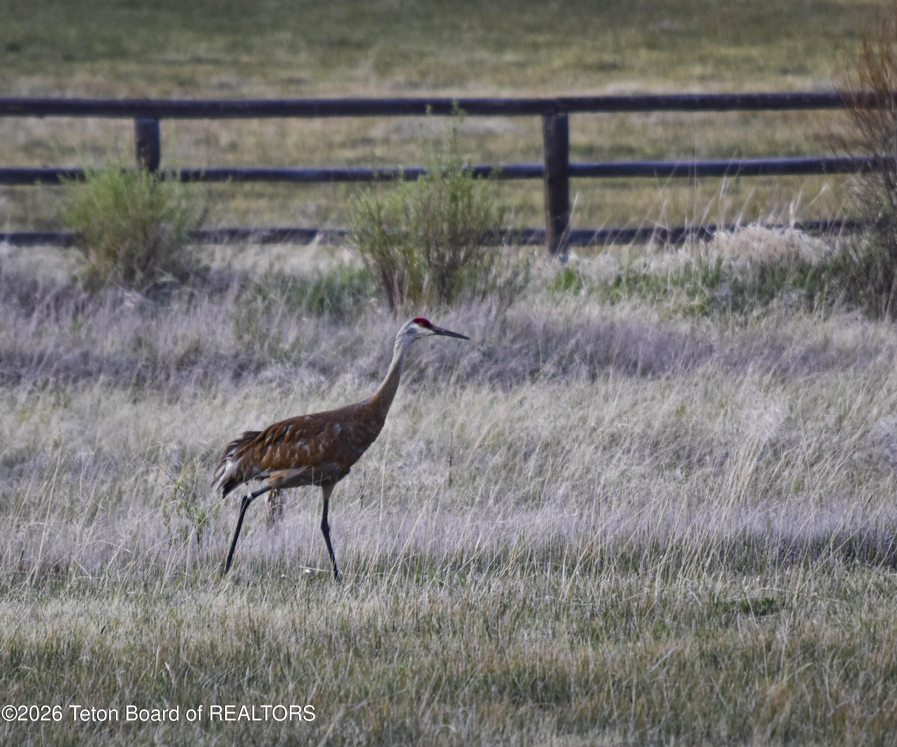 Tbd Tbd Road Pinedale, WY 82941 - Photo 25 of 25 1-1
