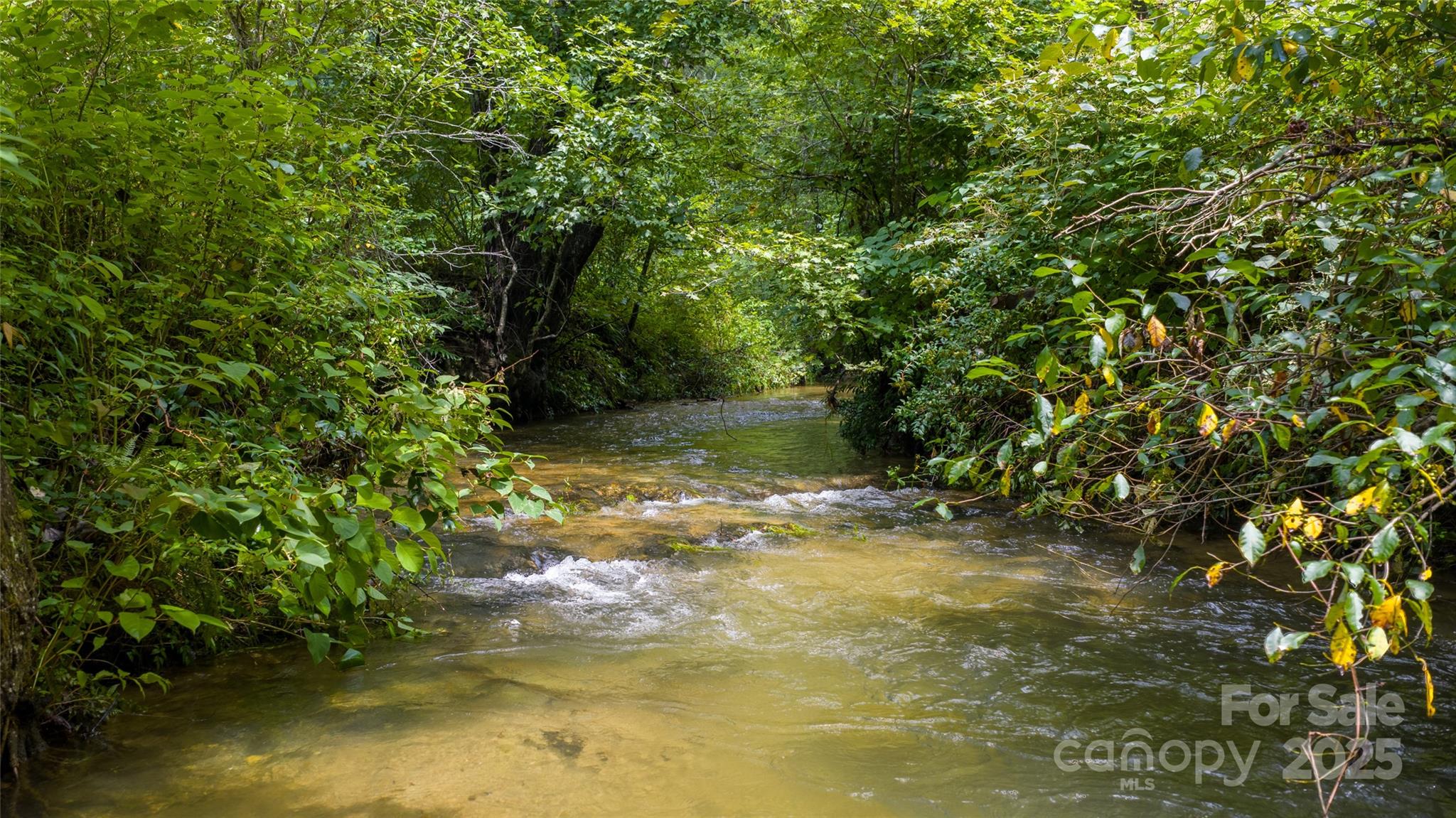 3175 Clear Creek Road Highlands, NC 28741 - Photo 41 of 43