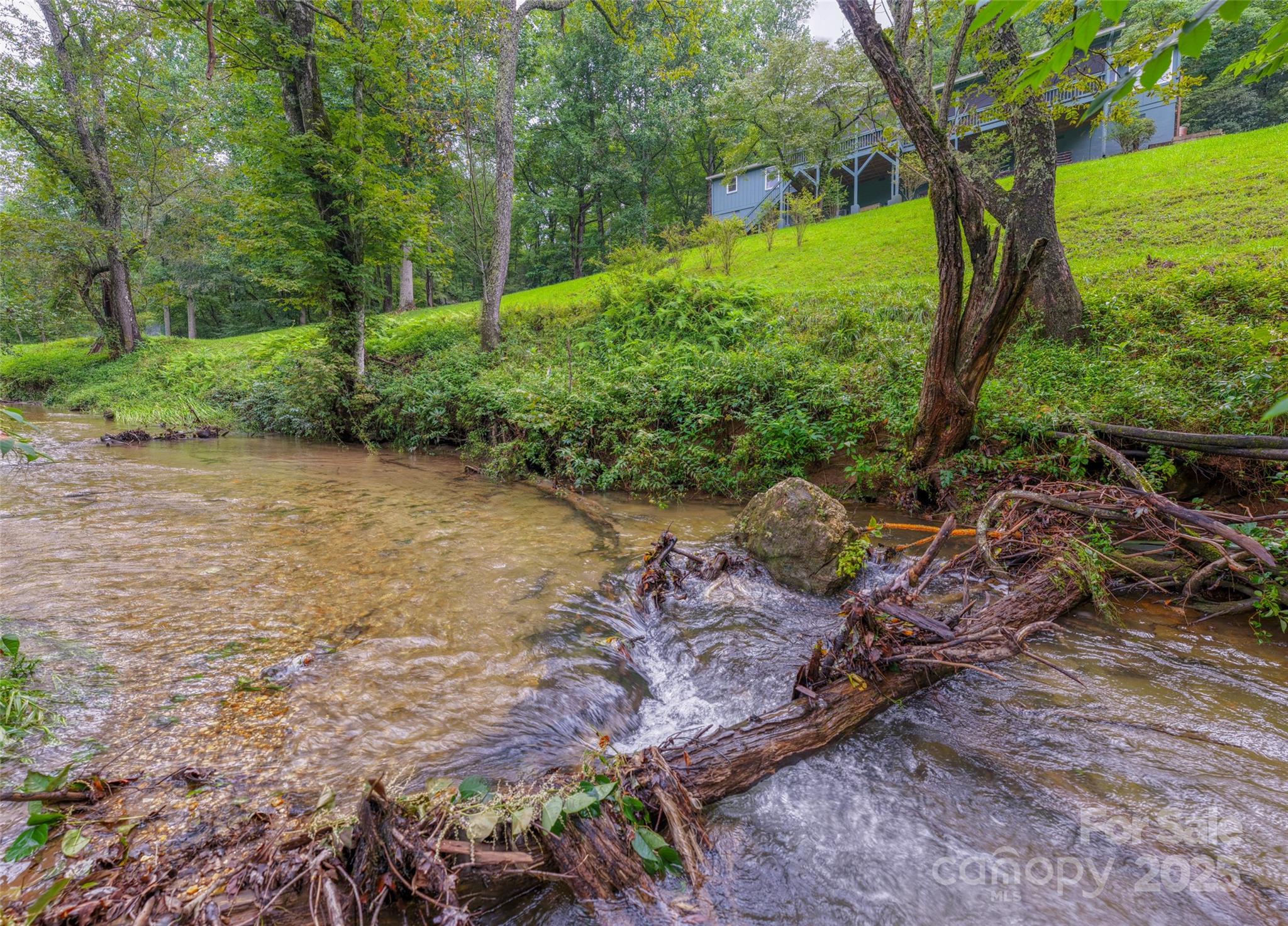 3175 Clear Creek Road Highlands, NC 28741 - Photo 9 of 43