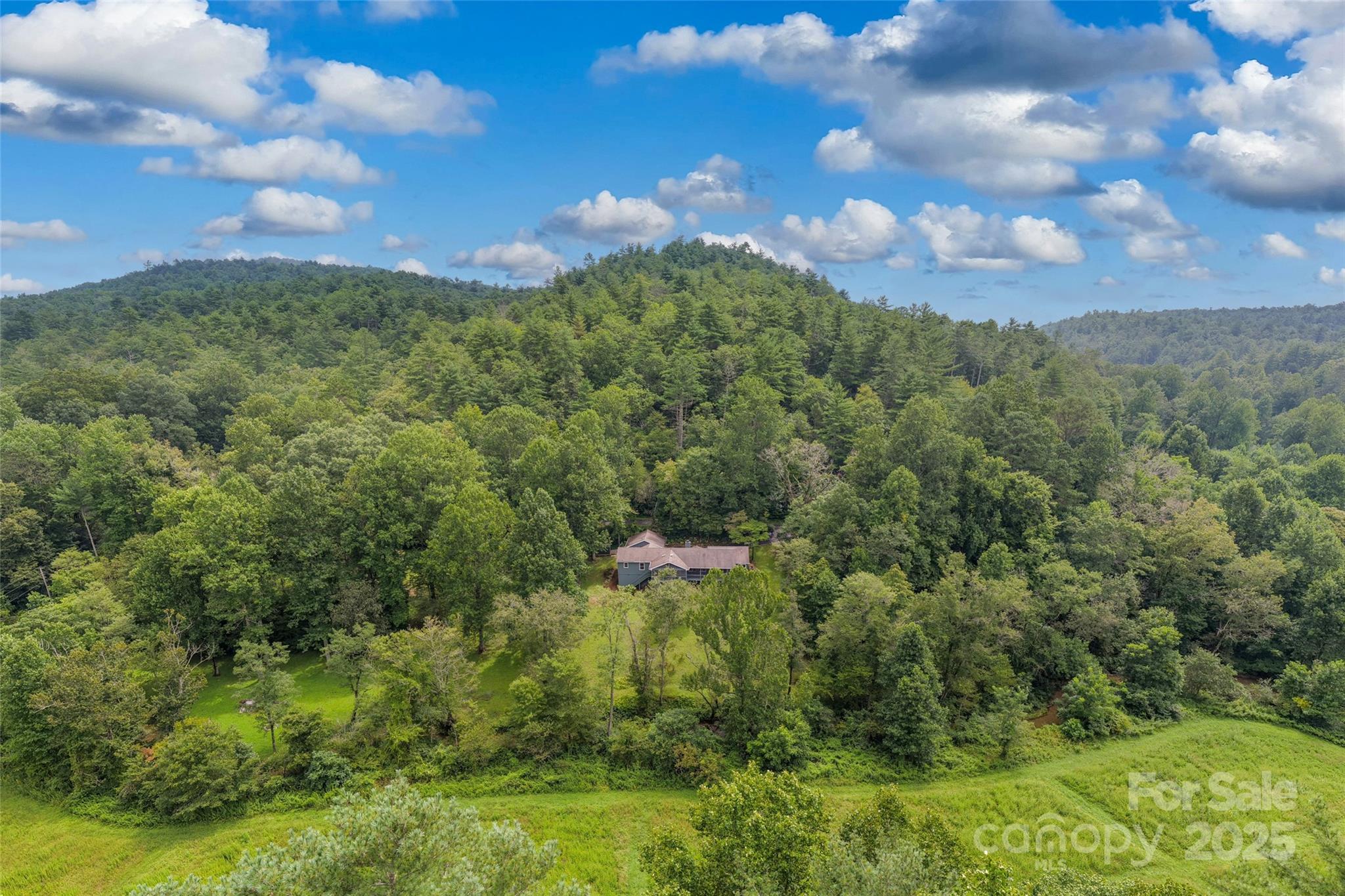 3175 Clear Creek Road Highlands, NC 28741 - Photo 10 of 43