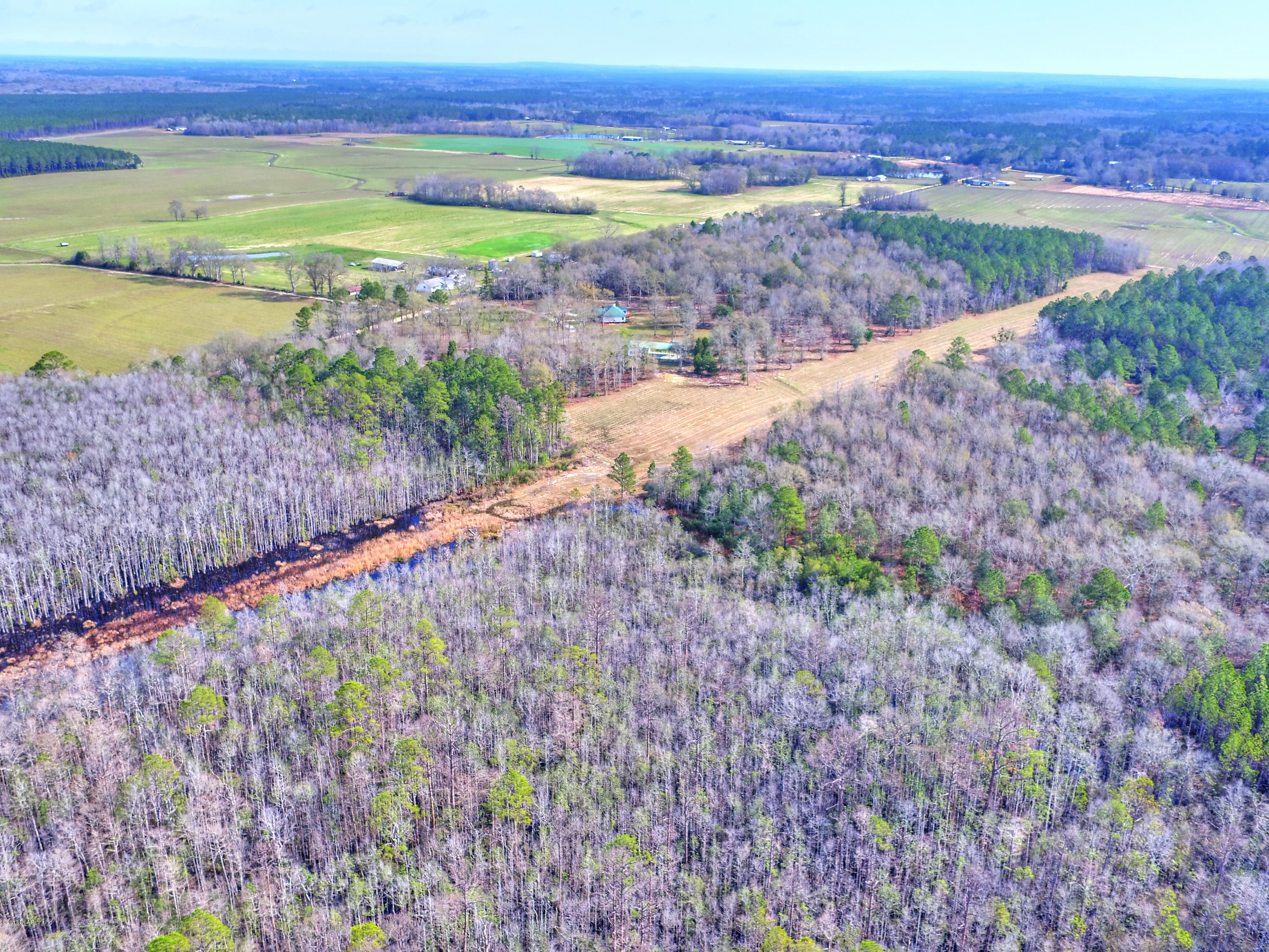 2877 Bruner Dairy Road Vernon, FL 32462 - Photo 74 of 100 Gallery Image 74