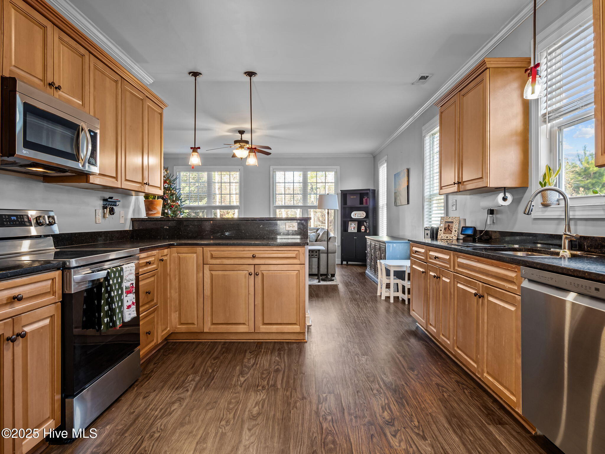 123 Beagle Drive Hubert, NC 28539 - Photo 9 of 53 Gracious Kitchen with wood cabinetry and SS appliances