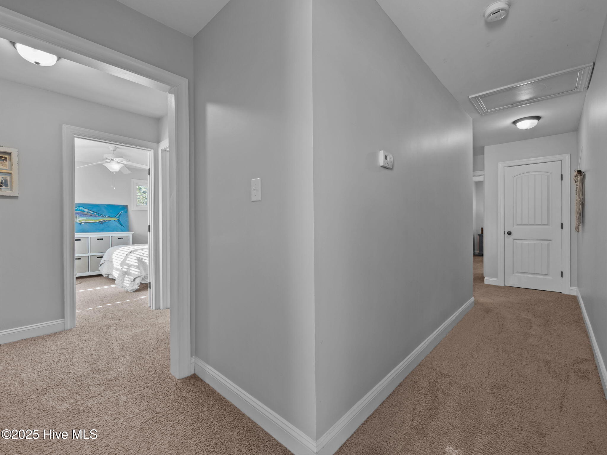 123 Beagle Drive Hubert, NC 28539 - Photo 32 of 53 28-web-or-mls-PC220176