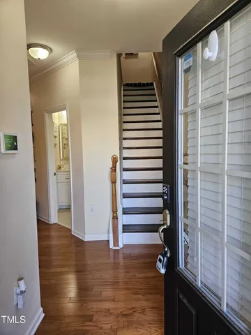 a glass door with a potted plant on it