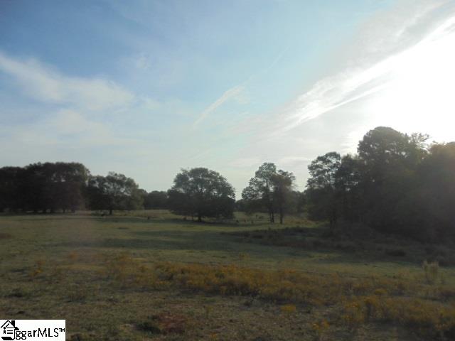 5414 Copeland Road Williamston, SC 29697 - Photo 11 of 19 Gallery Image 11