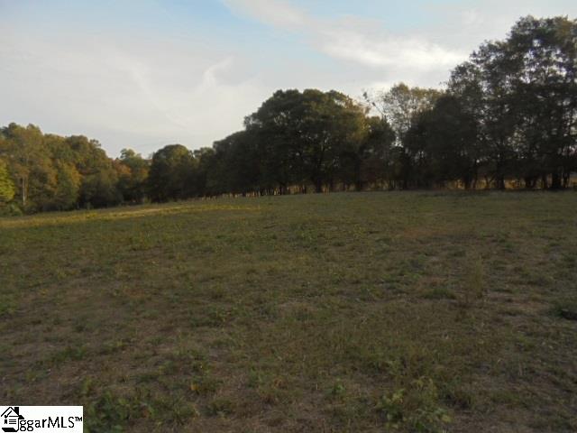 5414 Copeland Road Williamston, SC 29697 - Photo 5 of 19 Gallery Image 5