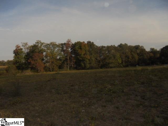 5414 Copeland Road Williamston, SC 29697 - Photo 6 of 19 Gallery Image 6