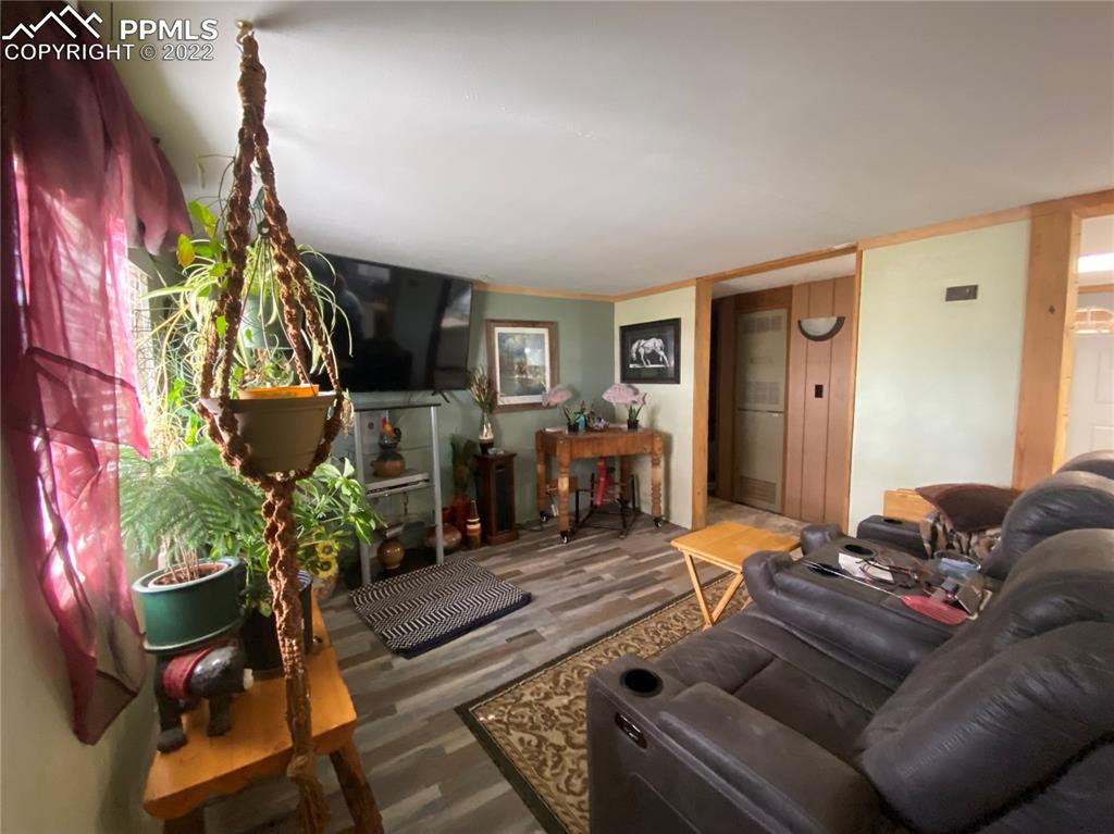 33895 East Jones Road Yoder, CO 80864 - Photo 18 of 45 a living room with furniture a fireplace and a potted plant