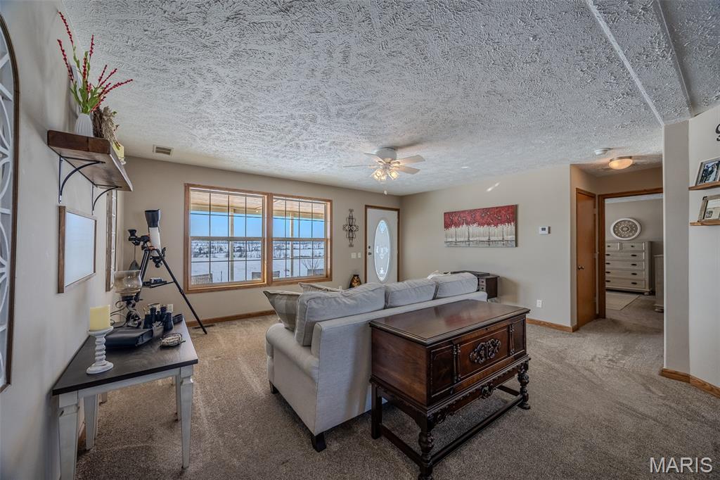 6991 Ely Road Hartville, MO 65667 - Photo 22 of 55